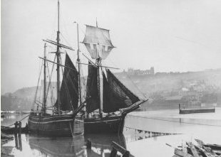 Lively and Mulgrave in Whitby Harbour